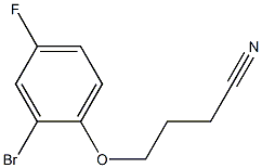 4-(2-bromo-4-fluorophenoxy)butanenitrile Struktur