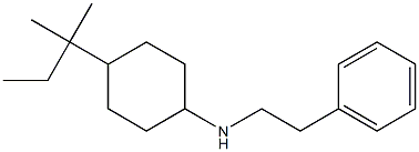 4-(2-methylbutan-2-yl)-N-(2-phenylethyl)cyclohexan-1-amine Struktur