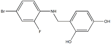 4-{[(4-bromo-2-fluorophenyl)amino]methyl}benzene-1,3-diol Struktur