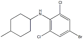 4-bromo-2,6-dichloro-N-(4-methylcyclohexyl)aniline Struktur