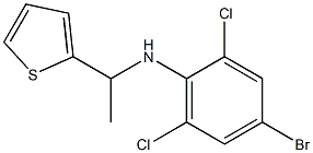 4-bromo-2,6-dichloro-N-[1-(thiophen-2-yl)ethyl]aniline Struktur