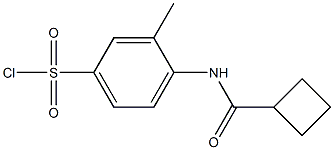 4-cyclobutaneamido-3-methylbenzene-1-sulfonyl chloride Struktur