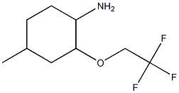 4-methyl-2-(2,2,2-trifluoroethoxy)cyclohexanamine Struktur