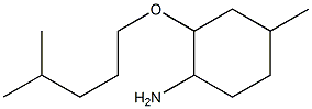 4-methyl-2-[(4-methylpentyl)oxy]cyclohexan-1-amine Struktur