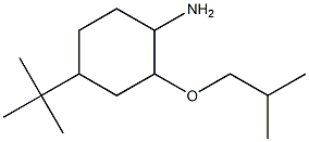 4-tert-butyl-2-(2-methylpropoxy)cyclohexan-1-amine Struktur