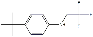 4-tert-butyl-N-(2,2,2-trifluoroethyl)aniline Struktur