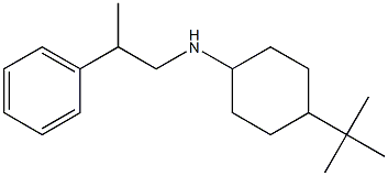 4-tert-butyl-N-(2-phenylpropyl)cyclohexan-1-amine Struktur