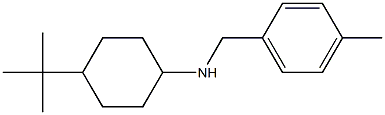 4-tert-butyl-N-[(4-methylphenyl)methyl]cyclohexan-1-amine Struktur