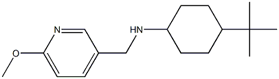 4-tert-butyl-N-[(6-methoxypyridin-3-yl)methyl]cyclohexan-1-amine Struktur