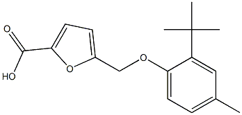 5-(2-tert-butyl-4-methylphenoxymethyl)furan-2-carboxylic acid Struktur