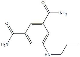 5-(propylamino)benzene-1,3-dicarboxamide Struktur