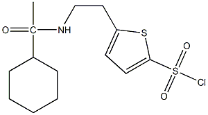 5-[2-(1-cyclohexylacetamido)ethyl]thiophene-2-sulfonyl chloride Struktur