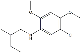 5-chloro-2,4-dimethoxy-N-(2-methylbutyl)aniline Struktur