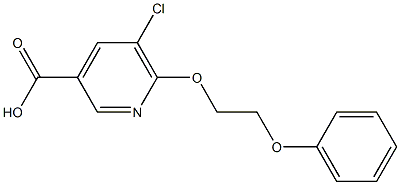 5-chloro-6-(2-phenoxyethoxy)pyridine-3-carboxylic acid Struktur