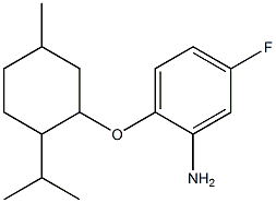 5-fluoro-2-{[5-methyl-2-(propan-2-yl)cyclohexyl]oxy}aniline Struktur