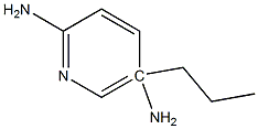 5-N-propylpyridine-2,5-diamine Struktur