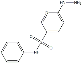 6-hydrazinyl-N-phenylpyridine-3-sulfonamide Struktur