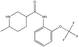 6-methyl-N-[2-(trifluoromethoxy)phenyl]piperidine-3-carboxamide Struktur