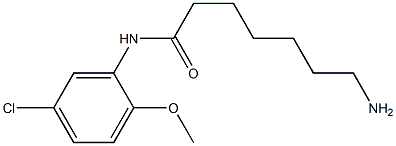 7-amino-N-(5-chloro-2-methoxyphenyl)heptanamide Struktur