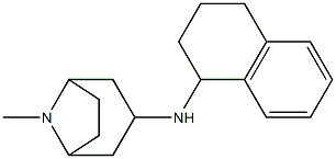 8-methyl-N-(1,2,3,4-tetrahydronaphthalen-1-yl)-8-azabicyclo[3.2.1]octan-3-amine Struktur