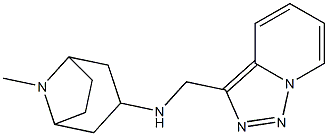 8-methyl-N-{[1,2,4]triazolo[3,4-a]pyridin-3-ylmethyl}-8-azabicyclo[3.2.1]octan-3-amine Struktur