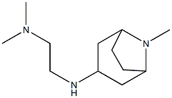 dimethyl[2-({8-methyl-8-azabicyclo[3.2.1]octan-3-yl}amino)ethyl]amine Struktur