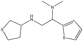 dimethyl[2-(thiolan-3-ylamino)-1-(thiophen-2-yl)ethyl]amine Struktur