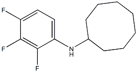 N-(2,3,4-trifluorophenyl)cyclooctanamine Struktur