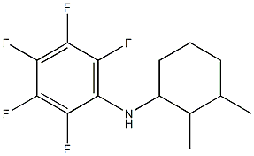 N-(2,3-dimethylcyclohexyl)-2,3,4,5,6-pentafluoroaniline Struktur