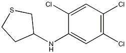 N-(2,4,5-trichlorophenyl)thiolan-3-amine Struktur