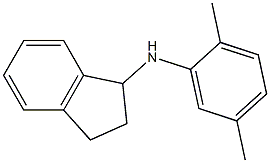 N-(2,5-dimethylphenyl)-2,3-dihydro-1H-inden-1-amine Struktur