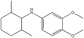 N-(2,6-dimethylcyclohexyl)-3,4-dimethoxyaniline Struktur