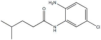 N-(2-amino-5-chlorophenyl)-4-methylpentanamide Struktur