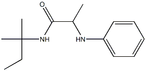 N-(2-methylbutan-2-yl)-2-(phenylamino)propanamide Struktur