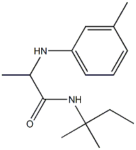 N-(2-methylbutan-2-yl)-2-[(3-methylphenyl)amino]propanamide Struktur