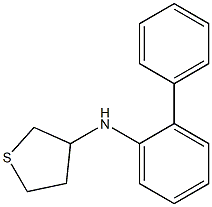 N-(2-phenylphenyl)thiolan-3-amine Struktur