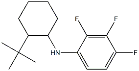 N-(2-tert-butylcyclohexyl)-2,3,4-trifluoroaniline Struktur