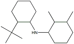 N-(2-tert-butylcyclohexyl)-2,3-dimethylcyclohexan-1-amine Struktur