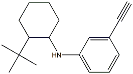 N-(2-tert-butylcyclohexyl)-3-ethynylaniline Struktur