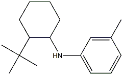 N-(2-tert-butylcyclohexyl)-3-methylaniline Struktur