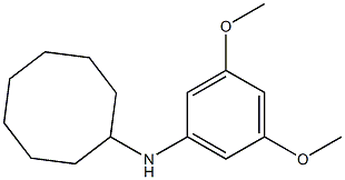 N-(3,5-dimethoxyphenyl)cyclooctanamine Struktur