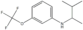 N-(3-methylbutan-2-yl)-3-(trifluoromethoxy)aniline Struktur