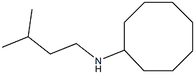 N-(3-methylbutyl)cyclooctanamine Struktur