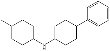 N-(4-methylcyclohexyl)-4-phenylcyclohexan-1-amine Struktur