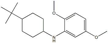 N-(4-tert-butylcyclohexyl)-2,5-dimethoxyaniline Struktur