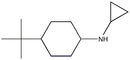 N-(4-tert-butylcyclohexyl)-N-cyclopropylamine Struktur