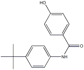 N-(4-tert-butylphenyl)-4-hydroxybenzamide Struktur