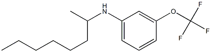 N-(octan-2-yl)-3-(trifluoromethoxy)aniline Struktur