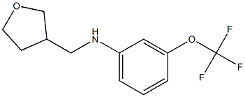 N-(oxolan-3-ylmethyl)-3-(trifluoromethoxy)aniline Struktur