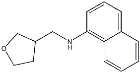 N-(oxolan-3-ylmethyl)naphthalen-1-amine Struktur